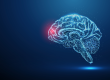 Abstract blue brains with red spot. Brains deseases